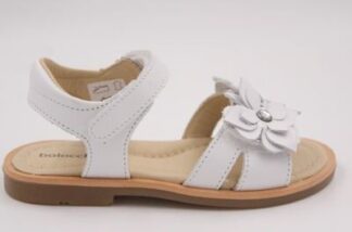 BALOCCHI 151447 PONZA FIORI