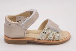 BALOCCHI 156309 PARIS CHAMPAGNE