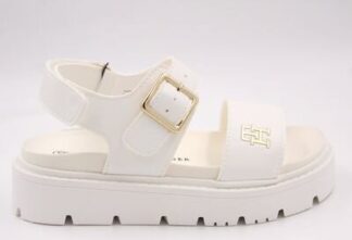 TOMMY HILFIGER 33785 LATTE