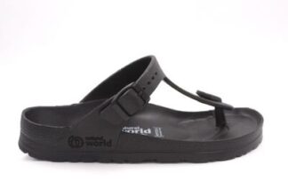 NATURAL WORLD 7053 N