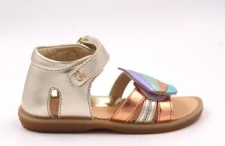 FALC8NATURINO FLAMINO