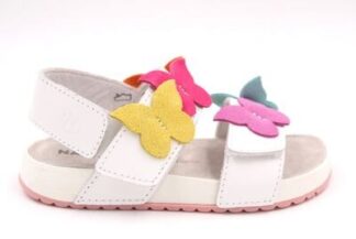 FALC8NATURINO LOVETY