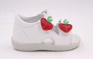 FALC8NATURINO MARISS