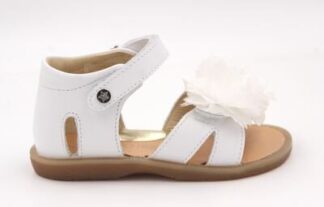 FALC8NATURINO NADINE