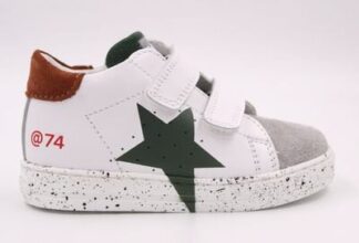 FALC8NATURINO SALAZAR VER