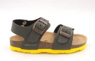 GRUNLAND SB0901 OLIVA.