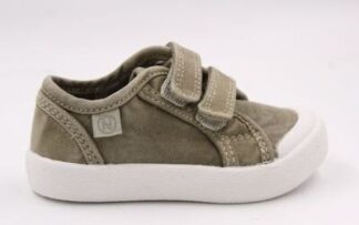 FALC8NATURINO SUMMER